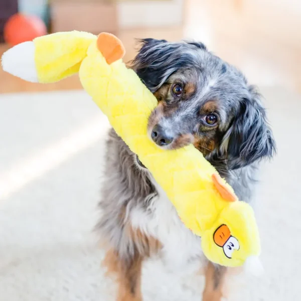 Brinquedo Para Cães Jigglerz® Pelúcia Sem Enchimento Com Apitos – Pato – Zippy Paws - Image 2