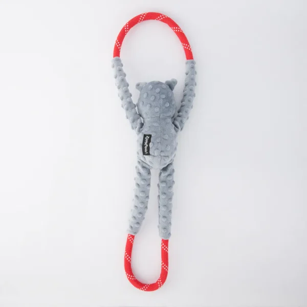 ZippyPaws RopeTugz - Brinquedo para cães com corda estridente e pelúcia, brinquedo interativo durável para cães - Coala - Image 2