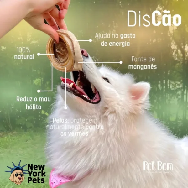 DisCão (Couro Bovino Desidratado) 1 uni - Mordedor Natural para Cães - Image 2