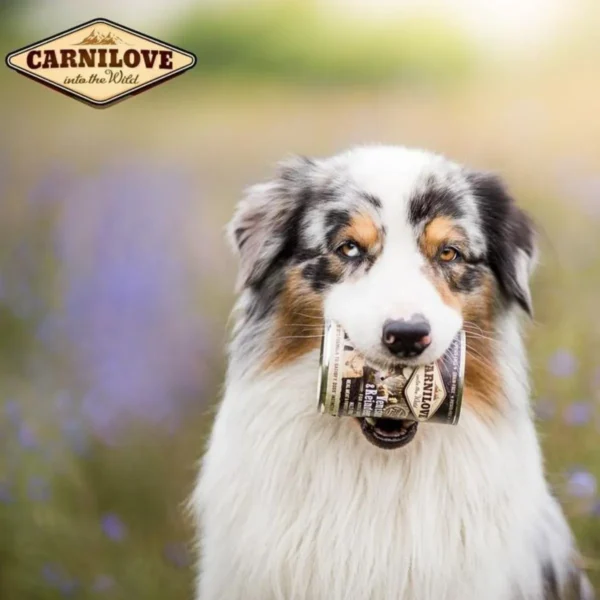 Carnilove Carne De Veado Rena Alimentação Úmida Natural Cães - Image 2