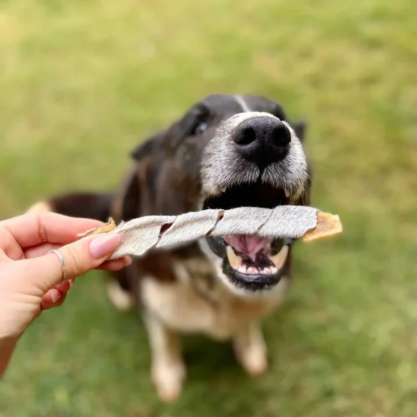 Tirinhas De Boi Pele Bovina Mordedor Natural Para Cães 100g - Image 3