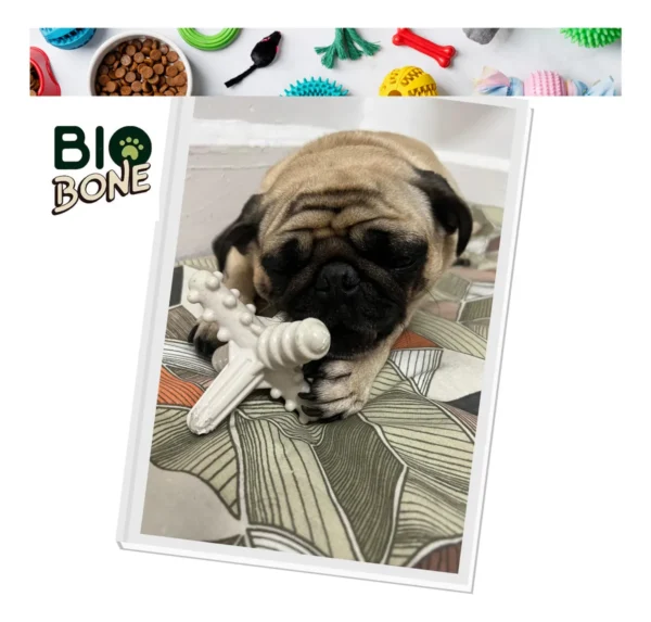 Mordedor Natural Biobone Asterisco Cana De Açucar P Cães Peq Cana De Açúcar Pequeno - Mordida Forte - Image 2