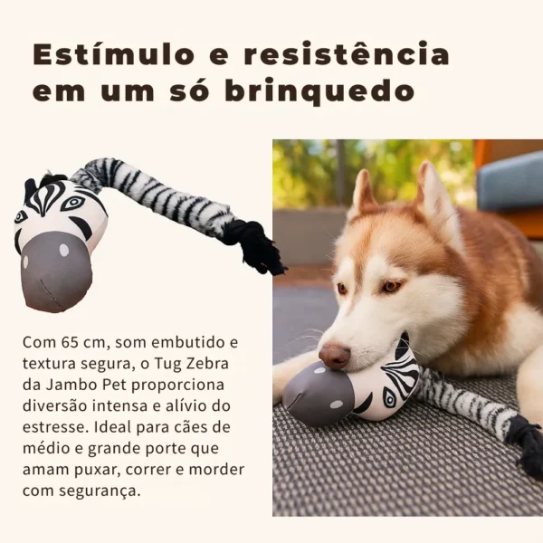 Mordedor de Pelúcia Corda e Apito Brinquedo Tug Canvas Zebra Para Cães - Image 3