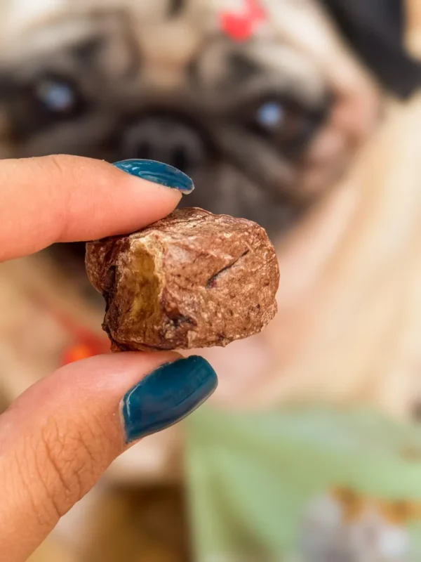 Petisco Natural Para Cães Churrasquinho Suíno 25g - Image 3