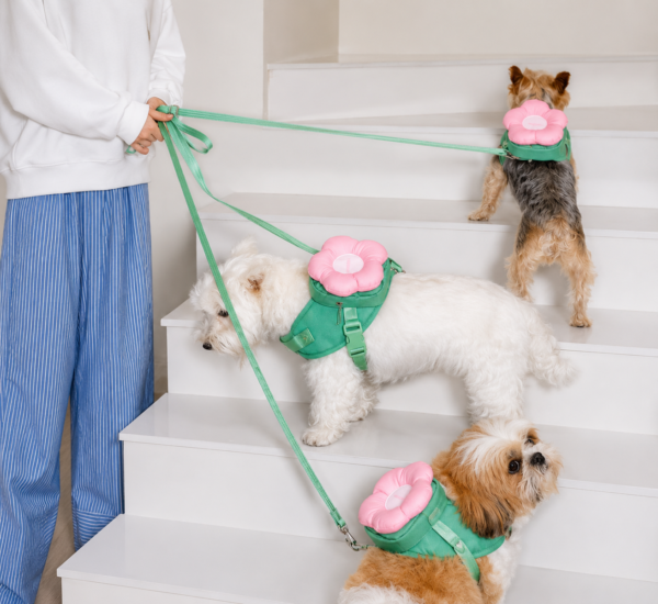 Vetreska Pet Flora Conjunto Guia + Peitoral + Mochila + Coleira Para Cachorro