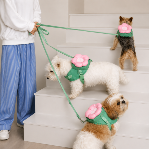 Vetreska Pet Flora Conjunto Guia + Peitoral + Mochila + Coleira Para Cachorro