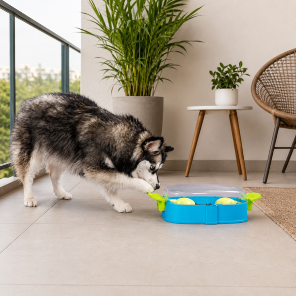Tabuleiro Nina Ottosson Paw N' Play