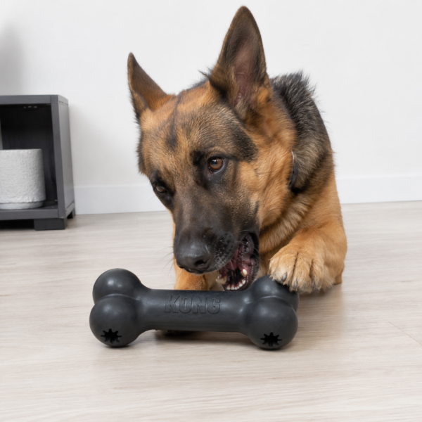 KONG EXTREME GOODIE BONE XL